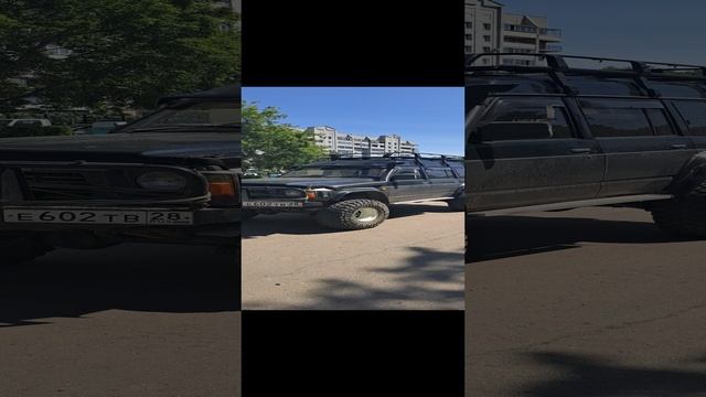 80/safari