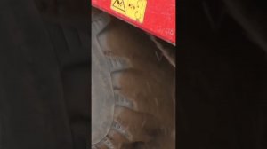 Монстр среди картофелеуборочных комбайнов!