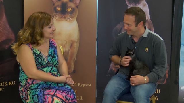 Andrea Mirino from Italy during the MFGC 46th & 47th International Cat Show смотреть онлайн