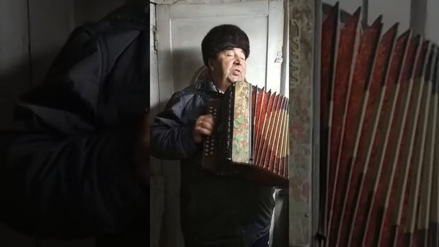 Красавец!!!гармонист Федорович!!!! смотреть онлайн