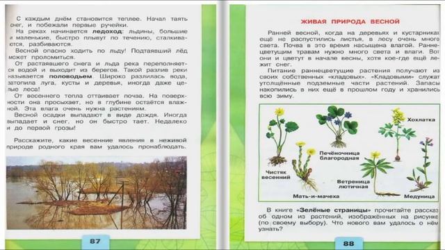 В гости к весне. Окружающий мир. 2 класс, 2 часть. Учебник А. Плешаков стр. 86-89 смотреть онлайн