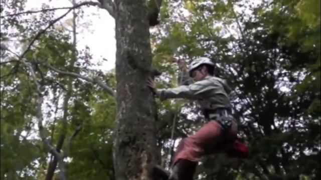 Dana Retrieves the Giant Hericium смотреть онлайн