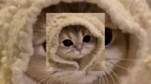 ЧЁРНЫЕ ГЛАЗА speed up