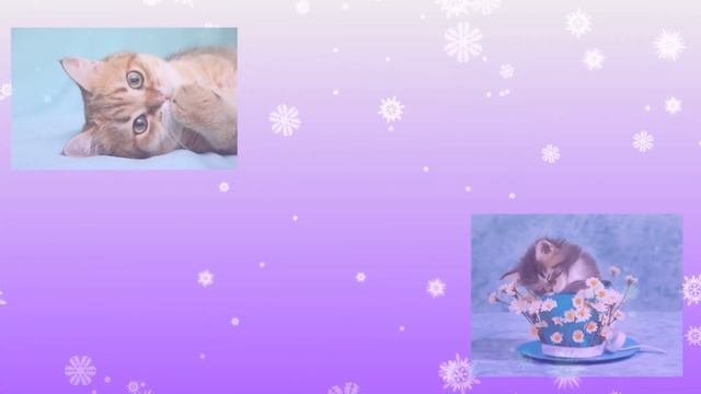 Веселая песенка маленьких котят ❤ смотреть онлайн