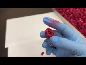 Сублимация малины.