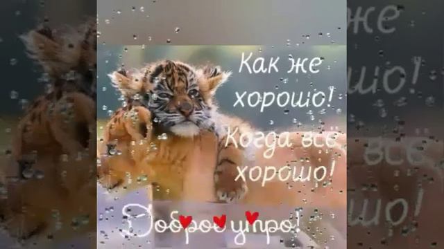 Доброе утро !!! Прекрасного дня !!! Хорошего настроения !!! смотреть онлайн