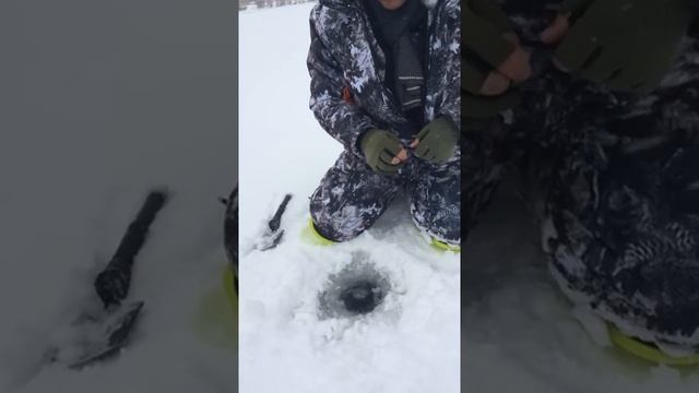 Щука или налим, налим или щука смотреть онлайн