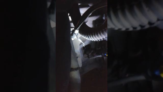 Cetruen C 4 Gearbox Faulty