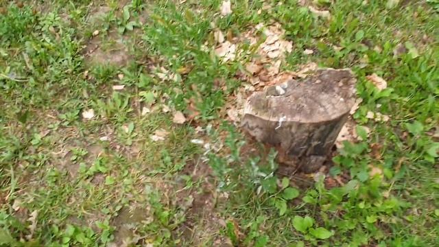 Изгнание демона из матрицы от телевизора смотреть онлайн
