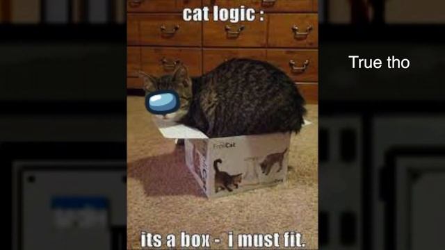 Among Us Submerged Easter Eggs - References You've Probably Never Realized смотреть онлайн