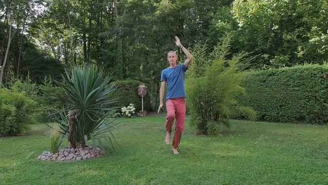 [COURS] ??♂️ Qi Gong débutants ? Posture du Ciel ? смотреть онлайн