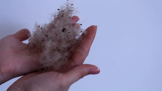 АВТОРСКАЯ флористика, флористика со смыслом.