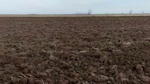 Зимняя Вспашка мокрой земли под Подсолнечник и Ячмень трактором ЮМЗ-6 ? Подготовка почвы к посеву??
