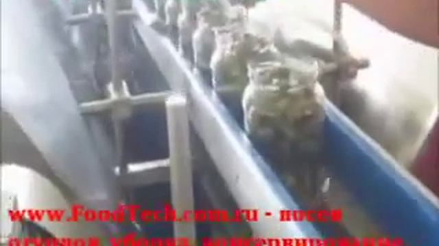 линия консервирования корнишон огурцов смотреть онлайн