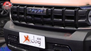 ✅РАССЕКРЕЧЕН новый HAVAL COOL DOG!?В РОССИИ ЖДЕМ?