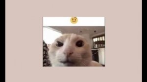 Superstar-Toy box 1 hour (Sped up)