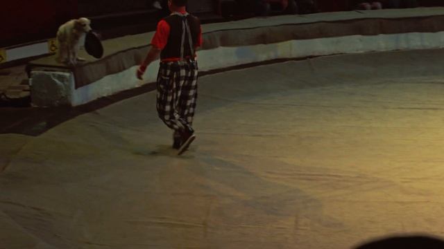 BMPCC OG, Fujinon 1.4/12,5mm, Zenitar M 50/1.7+Lens turbo. Circus Shambala Krasnodar смотреть онлайн