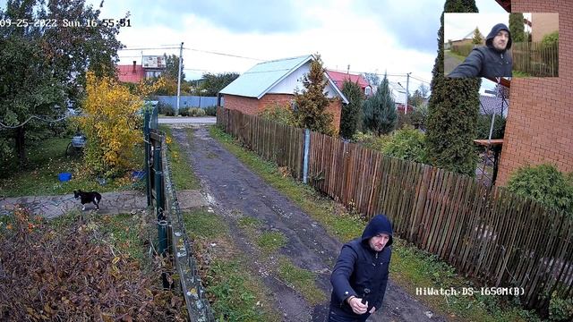 Камера DS-I650M(B)(2.8mm) как показывает HiWatch смотреть онлайн