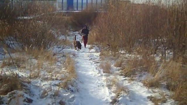 Субботняя прогулка 28 октября 2023 года. Вагонка. Нижний Тагил. смотреть онлайн