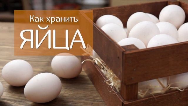 Как хранить яйца Хранение Как надо Как нельзя Как проверить смотреть онлайн