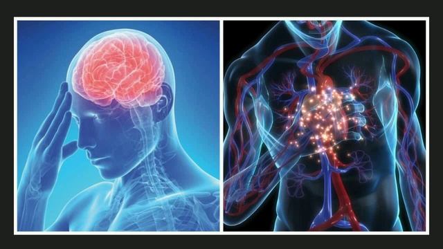 Что будет если есть чеснок каждый день! Поразительно!