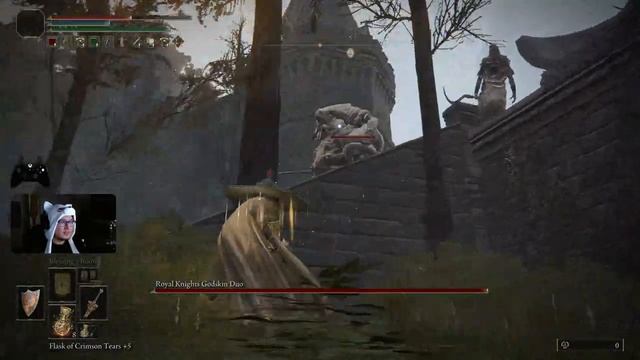 Fog Gate and Enemy/Item Randomizer! First time trying be gentle смотреть онлайн