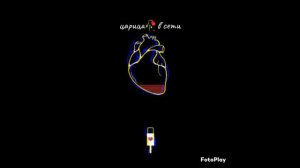 цыганская песня новая 2023 палюбил мэ🤴 тут ваш тиро шукаримос👸🌛