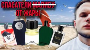 АРОМАТЫ ДЛЯ ЖАРЫ ☀️ ОСВЕЖАЮЩИЕ ПАРФЮМЫ  АРОМАТЫ К КОТОРЫМ ТЯНЕТСЯ РУКА