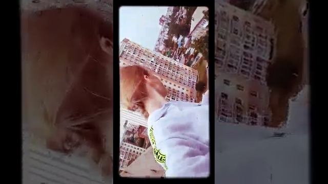 Русские крыши. Влог. Первое видео! смотреть онлайн