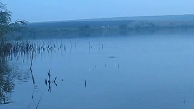 Карп. Пруд Аряш смотреть онлайн