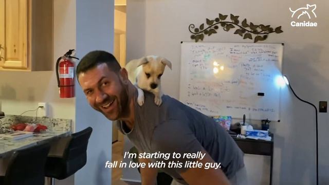 The Dodo and Canidae present Ruff Life with Lee Asher 1 смотреть онлайн