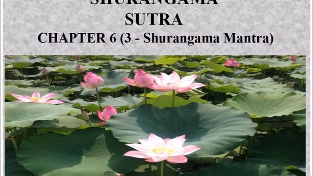 Shurangama Sutra Vol. 6 (3- The Shurangama Mantra) смотреть онлайн