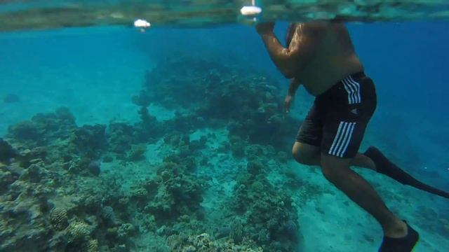 Sharm El Sheikh, Naama Bay, Sonesta Beach Resort Snorkeling Part 1 смотреть онлайн