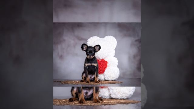 4 февраля 2023 г. смотреть онлайн