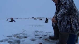 Ловля карася зимой