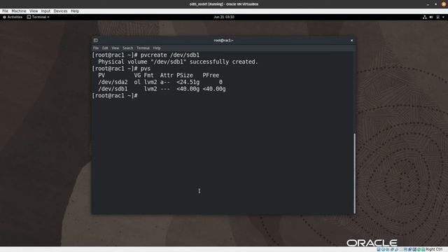 Oracle RAC 19c On Oracle Linux 8.5 - Part 4 - Format Disk and Create /u01 Mount Point смотреть онлайн