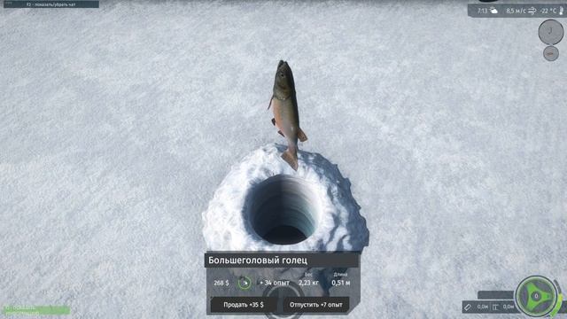 Ultimate Fishing Simulator 1 Зимняя рыбалка