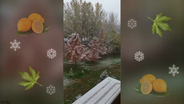 Первый снег в Ташкенте. Красивая видео зарисовка. смотреть онлайн