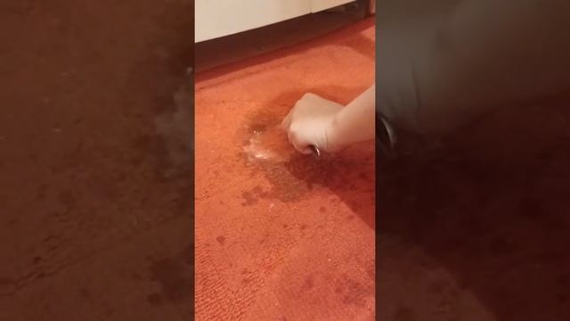 ВЫШКРУБЫВАЕМ МАЙОНЕЗ С ЛИМОННОЙ КИСЛОТОЙ!) смотреть онлайн