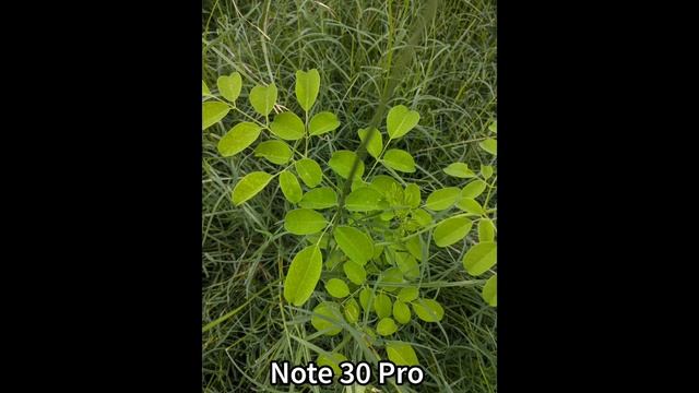 infinix GT 10 Pro Vs infinix Note 30 Pro Vs iPhone 14 Camera Comparison смотреть онлайн