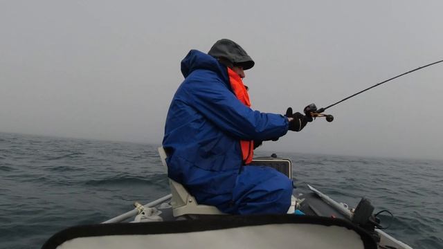 МИНТАЙ...25 ПРИЧАЛ 29.03.2023. НАХОДКА. ПРИМОРСКИЙ КРАЙ. смотреть онлайн