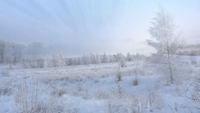 Некрасов. Крестьянские дети. Читают ученики 5 класса Слободской СОШ смотреть онлайн