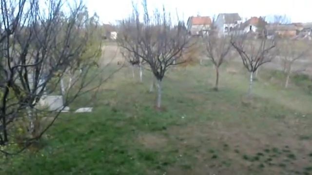 Our garden game смотреть онлайн