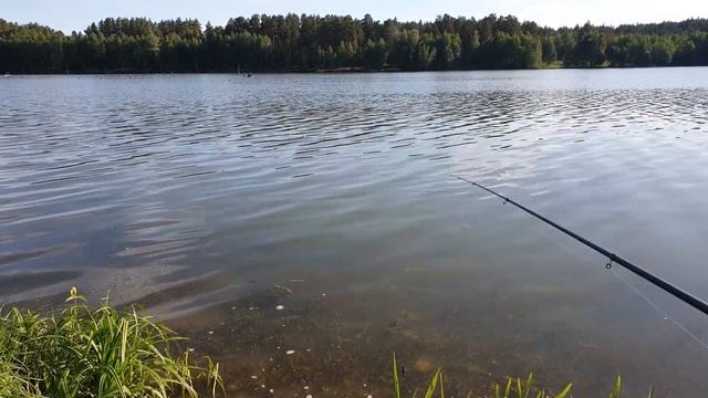 Отличная рыбалка на карася в Самарской области. Отдохнул душой и телом. смотреть онлайн