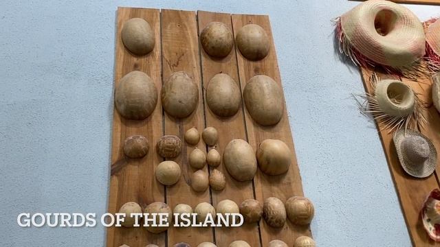 LAS TERRENAS: EL CATEY INTERNATIONAL AIRPORT | THINGS YOU NEED TO KNOW | TOUR OF TERMINAL| VLOG смотреть онлайн