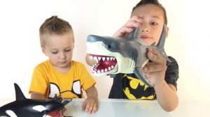 Игрушки для детей Игра Касатка и Акула Видео для детей Family fan game Shark Animal Planet