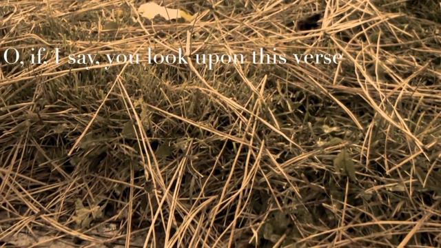 Sonnet 71 смотреть онлайн