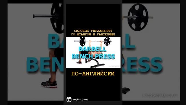 Силовые упражнения со штангой и с гантелями. Перевод на английский смотреть онлайн