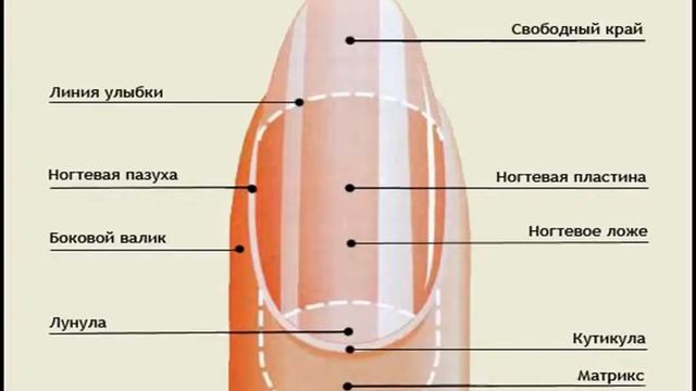 Уход за кожей рук. Уход за ногтями смотреть онлайн
