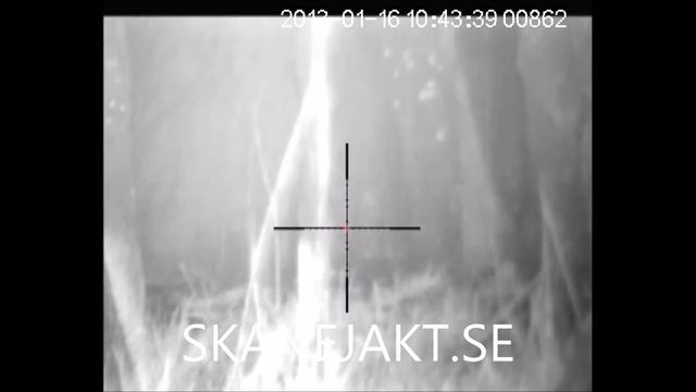 Pulsar Digisight N870 LRF/Pulsar Quantum XD50S смотреть онлайн